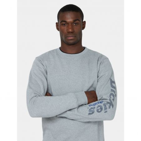 Dickies - Sweat-shirt imprimé Homme OKEMO gris