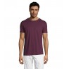 Sol's - Tee-shirt unisexe col rond REGENT - Bordeaux