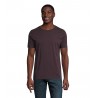 Neoblu - Tee-shirt manches courtes jersey mercerisé homme LUCAS MEN - Bordeaux