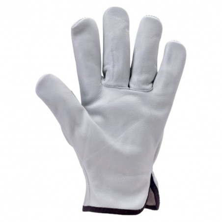 Coverguard - Dénomination couleur Gants maîtrise EUROSTRONG 2220 tout fleur vachette ecru (Conditionnement EUROSTRONG 222)