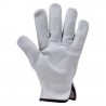 Coverguard - Dénomination couleur Gants maîtrise EUROSTRONG 2220 tout fleur vachette ecru (Conditionnement EUROSTRONG 222)