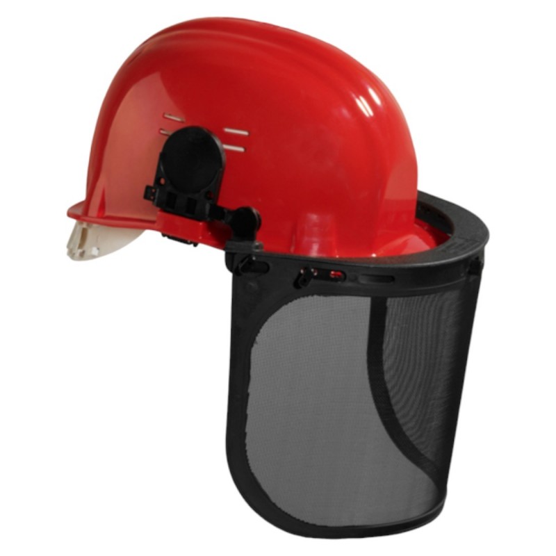 Coverguard - Dénomination couleur Ecran de protection grillagé L30 x H19 (Conditionnement) VISORGRILL